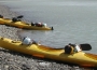 Kayak - Half Day
