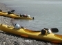 Kayak - Half Day
