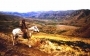 Horseback Riding - 8 Days
