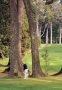 Golf - Llao Llao