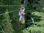 Canopy