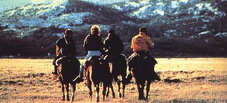 Horseback Riding