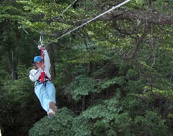 Canopy